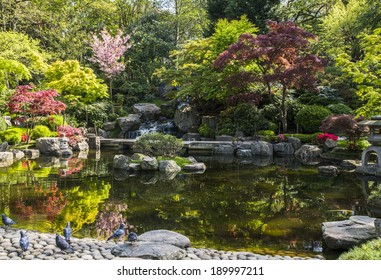 Kyoto Garden In Holland Park, London, UK 