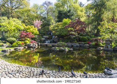 Kyoto Garden In Holland Park, London, UK 