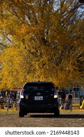 Kyoto Japan - 12 November,2021:a Busy Park Visited By Many People.cars Parked Under A Tree In Autumn