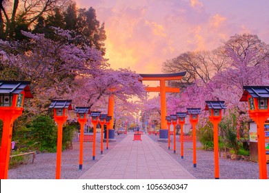 Imágenes Fotos De Stock Y Vectores Sobre Cherry Blossom