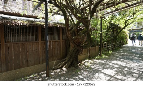 Kyoto, Japan - April 28th 2021: Kinsuitei Japanese Restaurant Entrance Exterior During COVID19 Lockdown Epidemic