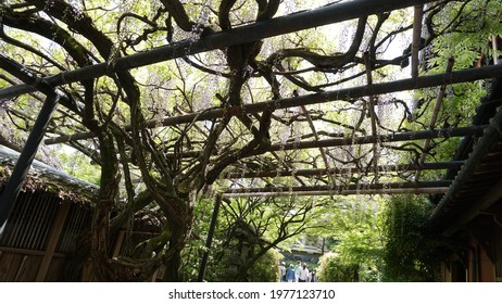 Kyoto, Japan - April 28th 2021: Kinsuitei Japanese Restaurant Entrance Exterior During COVID19 Lockdown Epidemic