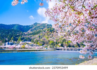 Kyoto, Japan. Arashiyama, Togetsu Bridge and cherry blossoms in full bloom