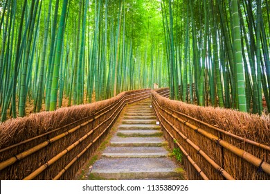 Kyoto, Japan In The Bamboo Forest.