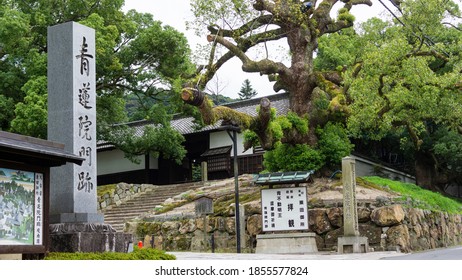 Kyoto, Japan July 03, 2018 : Stone Sign And Tree At The Entrance To Entrance To Shoren In Monzeki, Kyoto, Japan