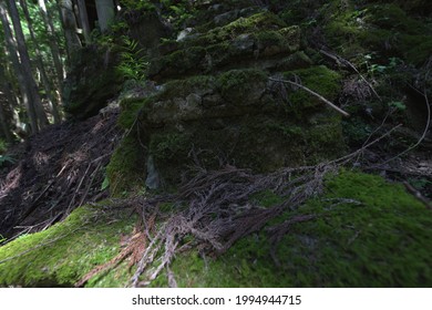 Kyoto, Japan - May 30th 2021: Japanese Old Villa. Abandoned House At The Hiking Trail Of Hinomizu Pass Around Kifune Shrine. This Hiking Trail Is Abandoned Due To Typhoon Two Years Ago.