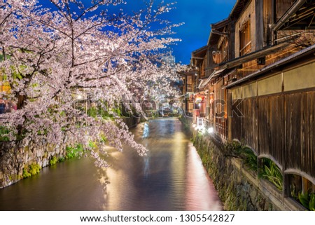 Kyoto, Japan at the Shirakawa River in the Gion District in Kyoto during the spring cherry blosson season.
