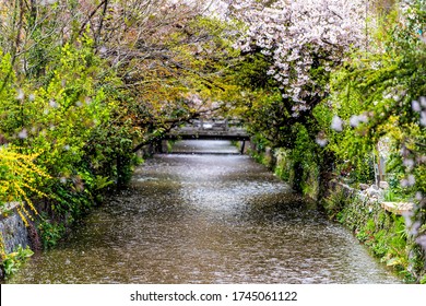 Takase River Images Stock Photos Vectors Shutterstock