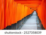 Kyoto: Thousand Torii Gates of Fushimi Inari Taisha Shrine