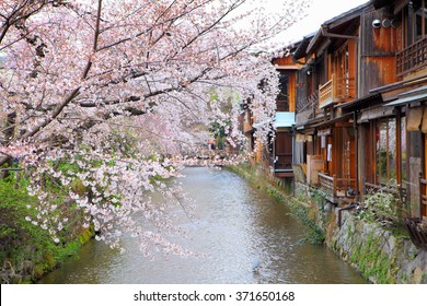 Kyoto Wooden House And Sakura