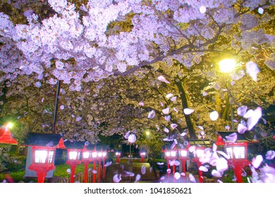 Rokunomiya Images, Stock Photos & Vectors | Shutterstock