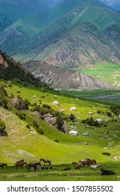 Kyrgyz Jailoo Yurt Kyrgyzstan Alay Region