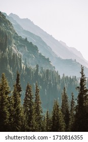 Kyrgyzstan. The Nature Of Kyrgyzstan. Summer. Mountain Landscape. Among The Tall, Dense Green Spruces, Mountains Are Visible At Dawn. Screensaver Photo