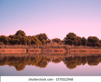 La Albufera Natural Park Landscape