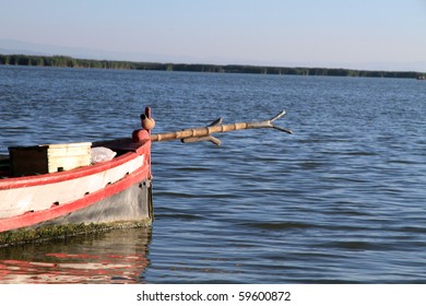 La Albufera Natural Park Valencia Province Spain Europe