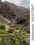 La Aldea de San Nicolas landscape. top of Gran Canaria . Gran Canaria. Canary islands