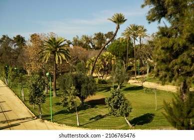 La Alqueria Park Area View In Dos Hermanas, Seville. Downtown. Grand Park