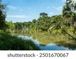 la babilla wetland, babilla park in cali colombia located in southern cali
Natural habitat.cop 16