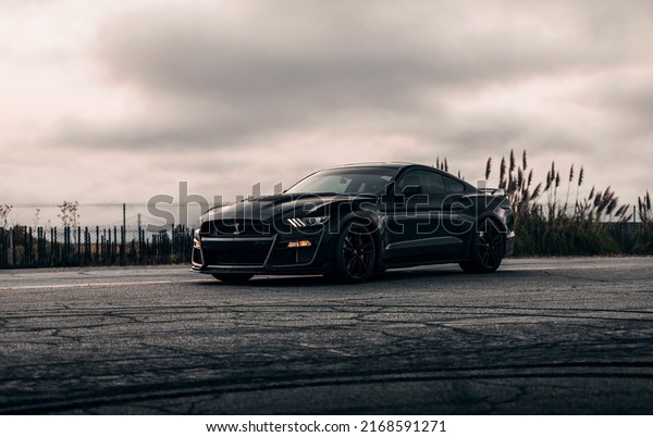 LA, CA, USA\
May 19, 2022\
Black Mustang\
Shelby Cobra parked showing the front end of the car with plants in\
the background
