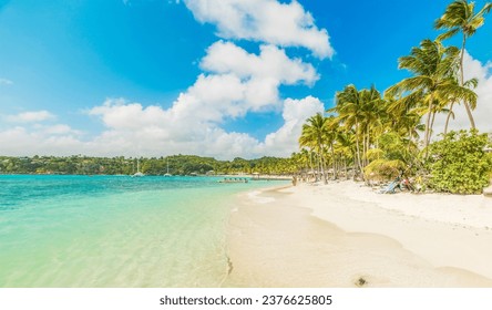 La Caravelle beach in Guadeloupe, French west indies. Lesser Antilles, Caribbean sea