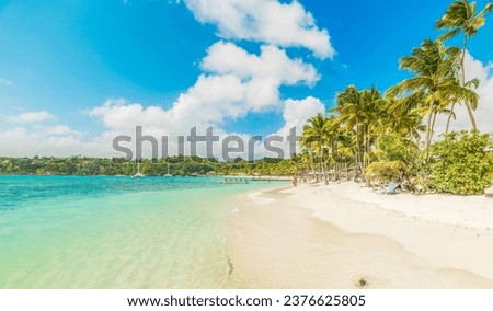 La Caravelle beach in Guadeloupe, French west indies. Lesser Antilles, Caribbean sea