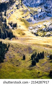 La Clusaz, France - August 20 2020 : an panorama of an alpine meadow on a steep mountain slope in the french alps