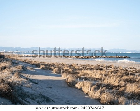 La Devesa del Saler beach in Valencia coast