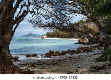 La Digue Anse Source D'Argent the best beach on the Seychelles