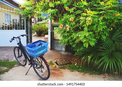 La Digue, Seychelles: Blue Bike In Front Of A Guesthouse Gate And Lush Vegetation