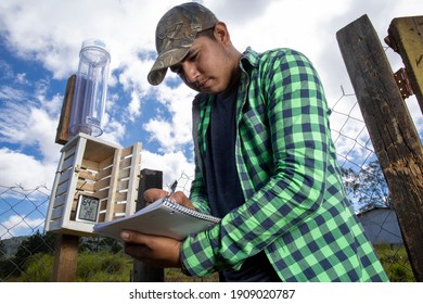 La Esperanza, Intibucá, Honduras. December 20 2020. A Young Man Revising The Amount Of Rainfall With A Pluviometer