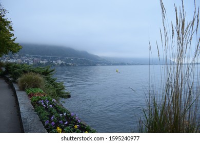 La Fleur Promenade In Montreux