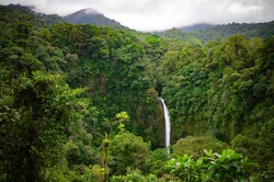 La Fortuna Waterfall Near Arenal Volcano, Alajuela, Costa Rica