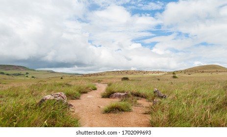 La Gran Sabana In Venezuela.