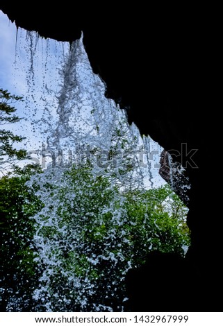 Similar – Image, Stock Photo Fog in a garden Garden