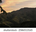 La imagen muestra un paisaje al atardecer con un cielo que presenta una mezcla de colores que van desde el azul hasta tonos anaranjados. En el primer plano, se observan las siluetas de árboles y ramas