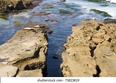 La Jolla, CA