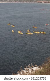 LA JOLLA, CALIFORNIA/USA - JULY 15, 2017: Tourists And Residents Staying Cool By Kayaking And Snorkeling In La Jolla Cove, California