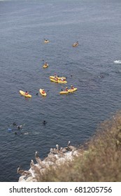 LA JOLLA, CALIFORNIA/USA - JULY 15, 2017: Tourists And Residents Staying Cool By Kayaking And Snorkeling In La Jolla Cove, California