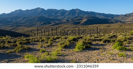 The La Madre Mountain Range, Red Rock Canyon National Conservation Area, Nevada, USA