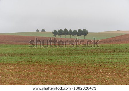 Similar – Image, Stock Photo Cereal fields in Castilla y Leon Spain bird´s eye view