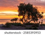 La Mata Beach torrevieja beach sunrise