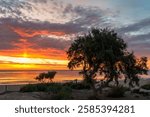 La Mata Beach torrevieja beach sunrise