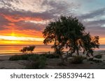 La Mata Beach torrevieja beach sunrise