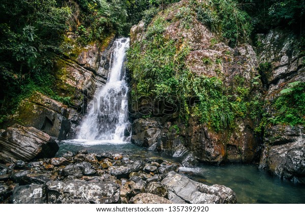 La\
Mina Falls in El Yunque National Forest in Puerto\
Rico