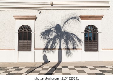 La Paz, Baja California Sur, Mexico. Shadow Of A Palm Tree On A White Stucco Building.