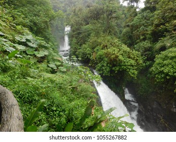 La Paz Waterfall Gardens, Costa Rica.