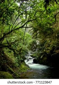 La Paz Waterfall Gardens, Costa Rica.