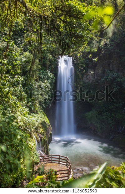La Paz Waterfall Gardens Costa Rica Stock Photo Edit Now 1136052590
