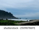 La Push Beach PNW, Washington