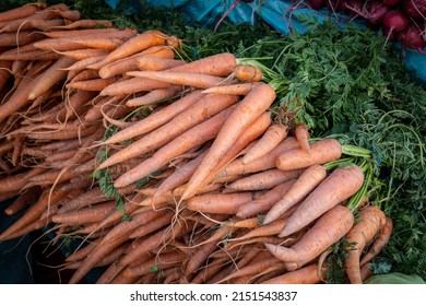 La Quinta CA USA - April 3 2022: Sunday Market Carrots In Bunches Laying Horizontally